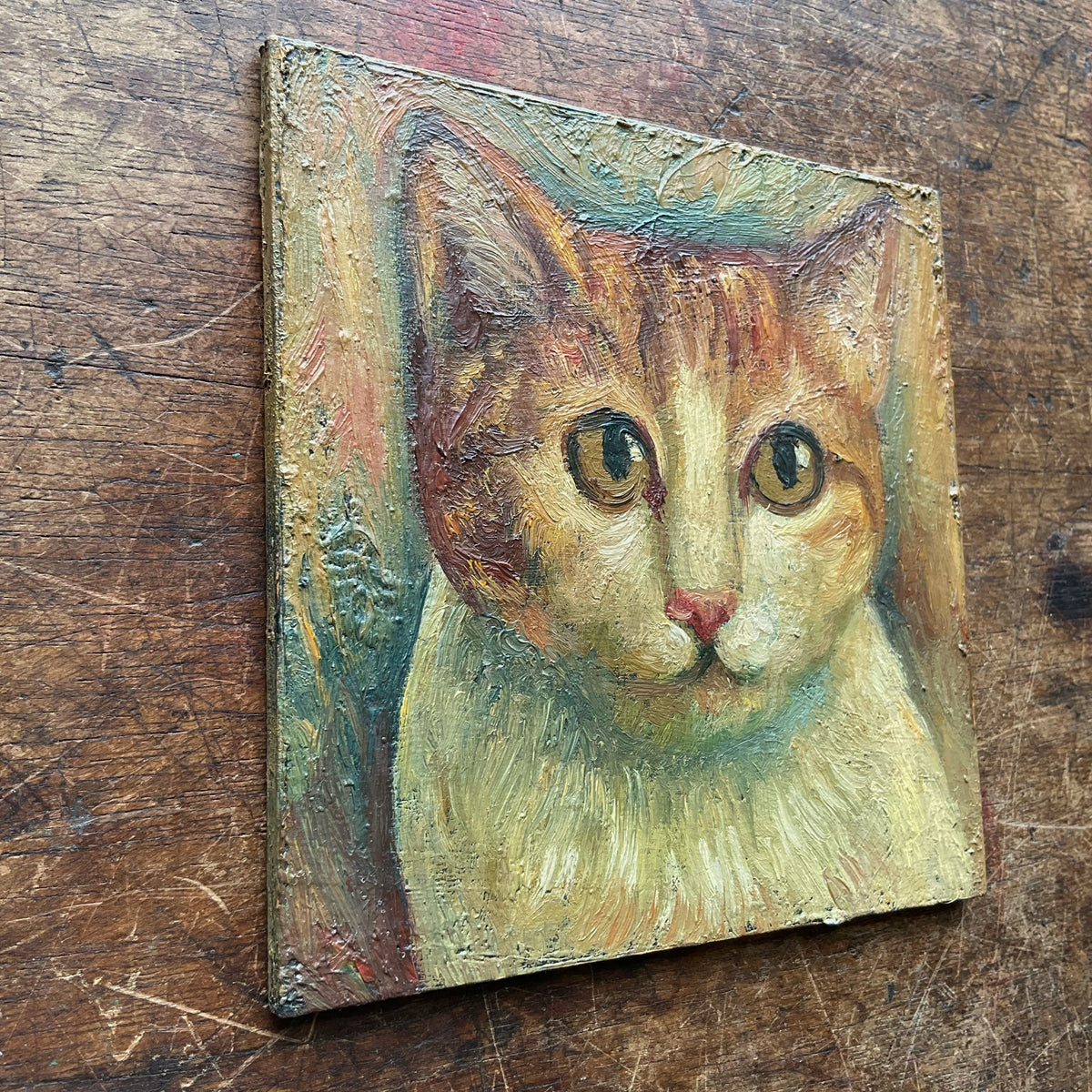 White and Orange Cat