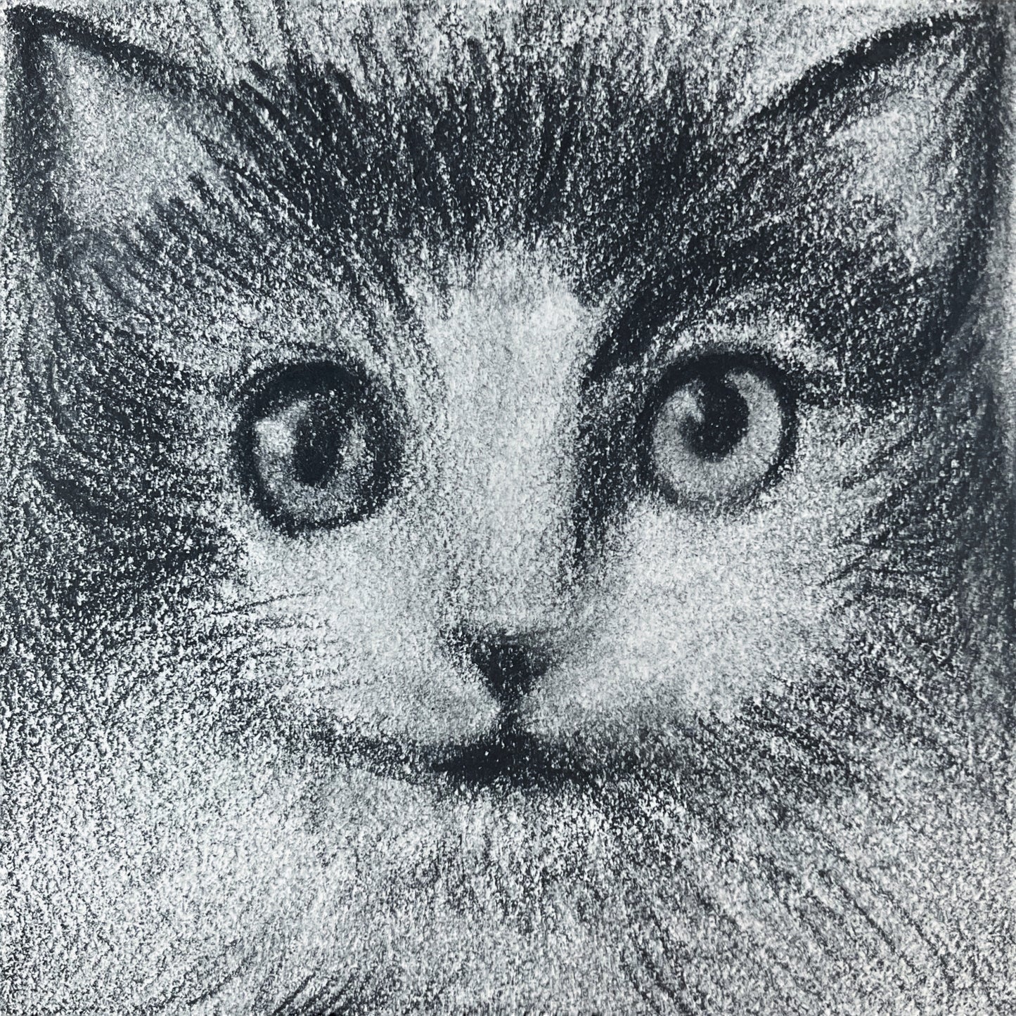 Mini Cat 005