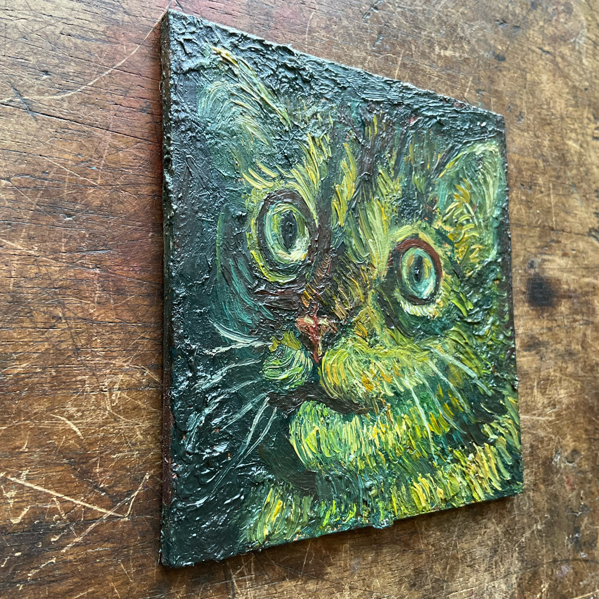 Cat, Black and Green