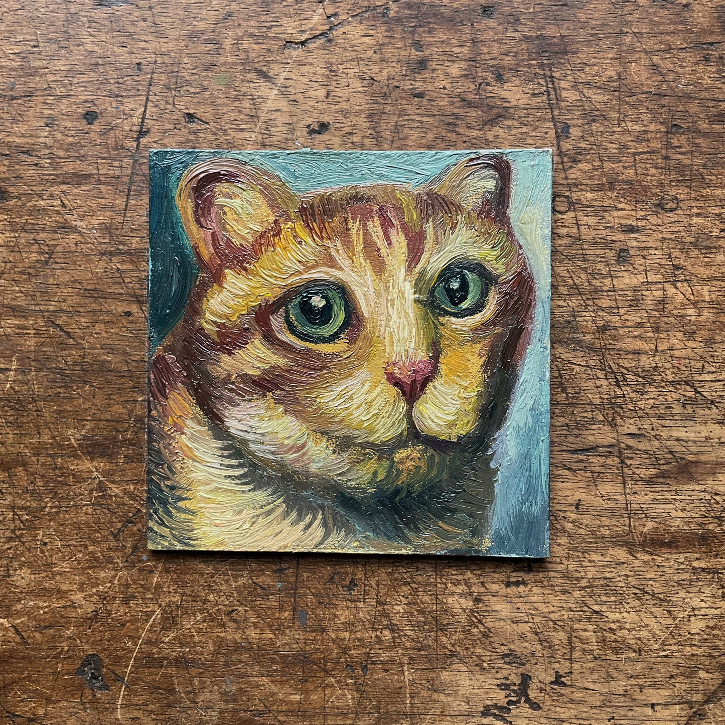 Mini Cat, Orange Big Head