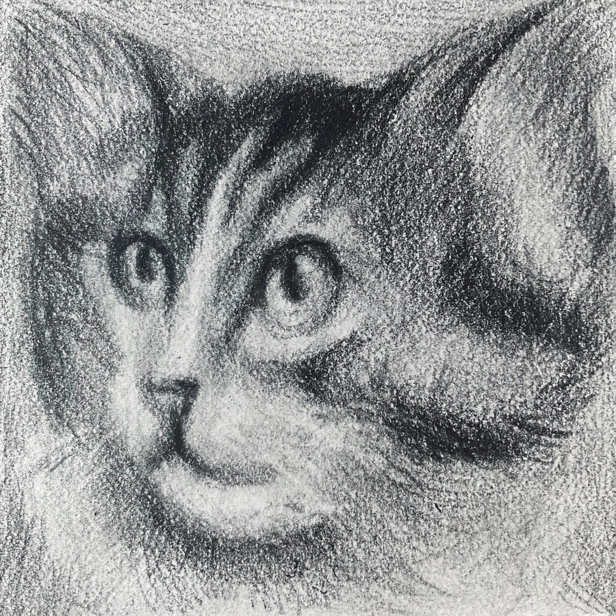 Mini Cat 006