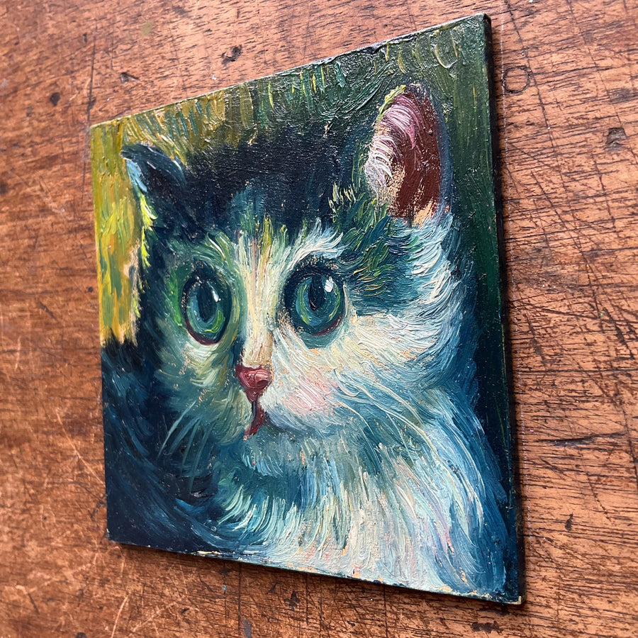 Mini Cat, Kitten
