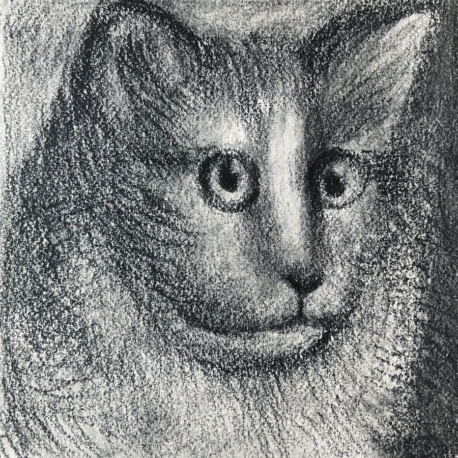 Mini Cat 001