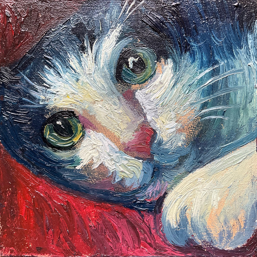 Mini Cat, Cat Playing