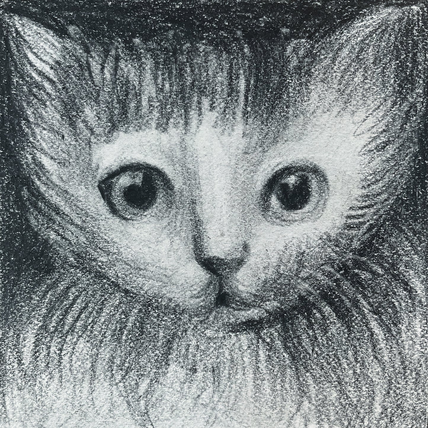 Mini Cat 002
