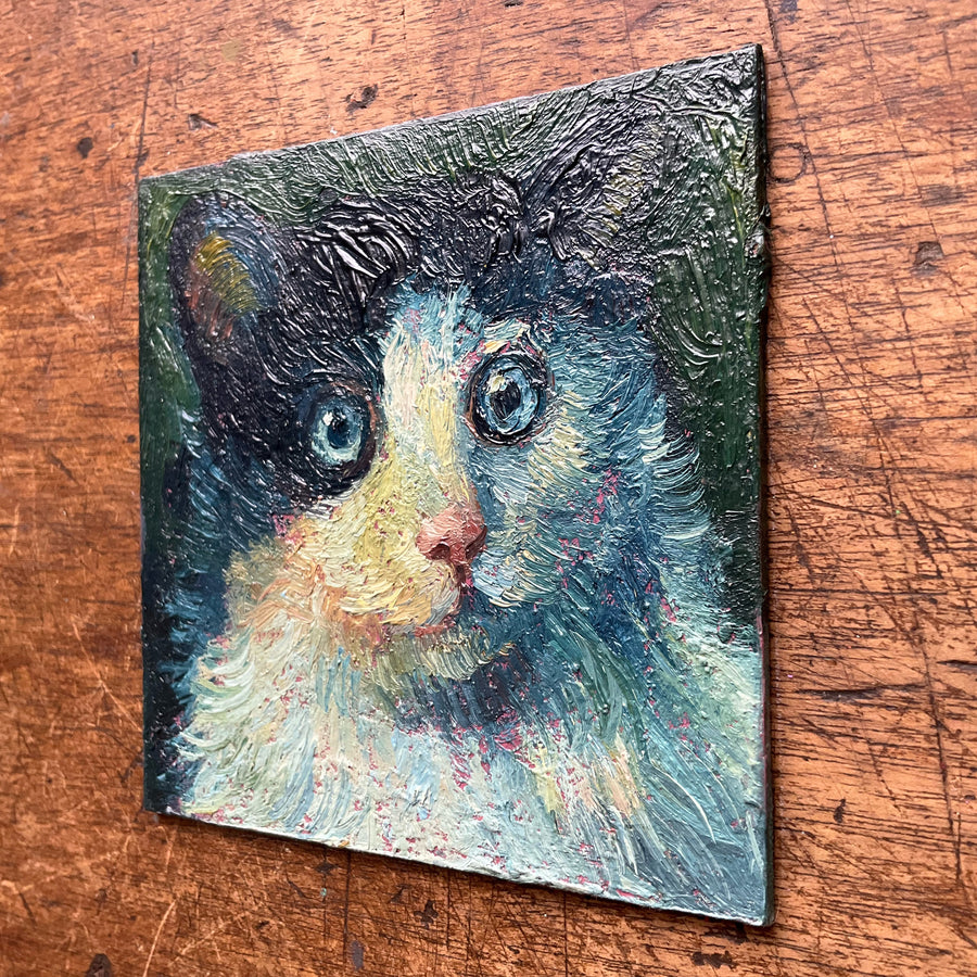 Mini Cat, Blue White and Black