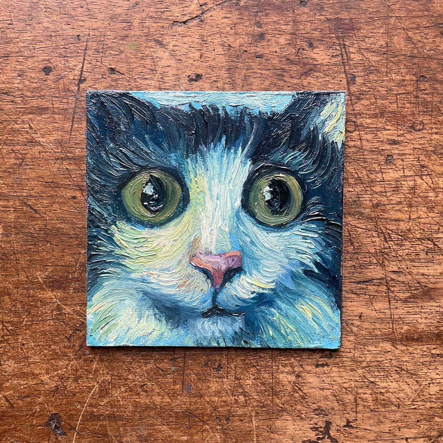 Mini Cat, Moody Blue