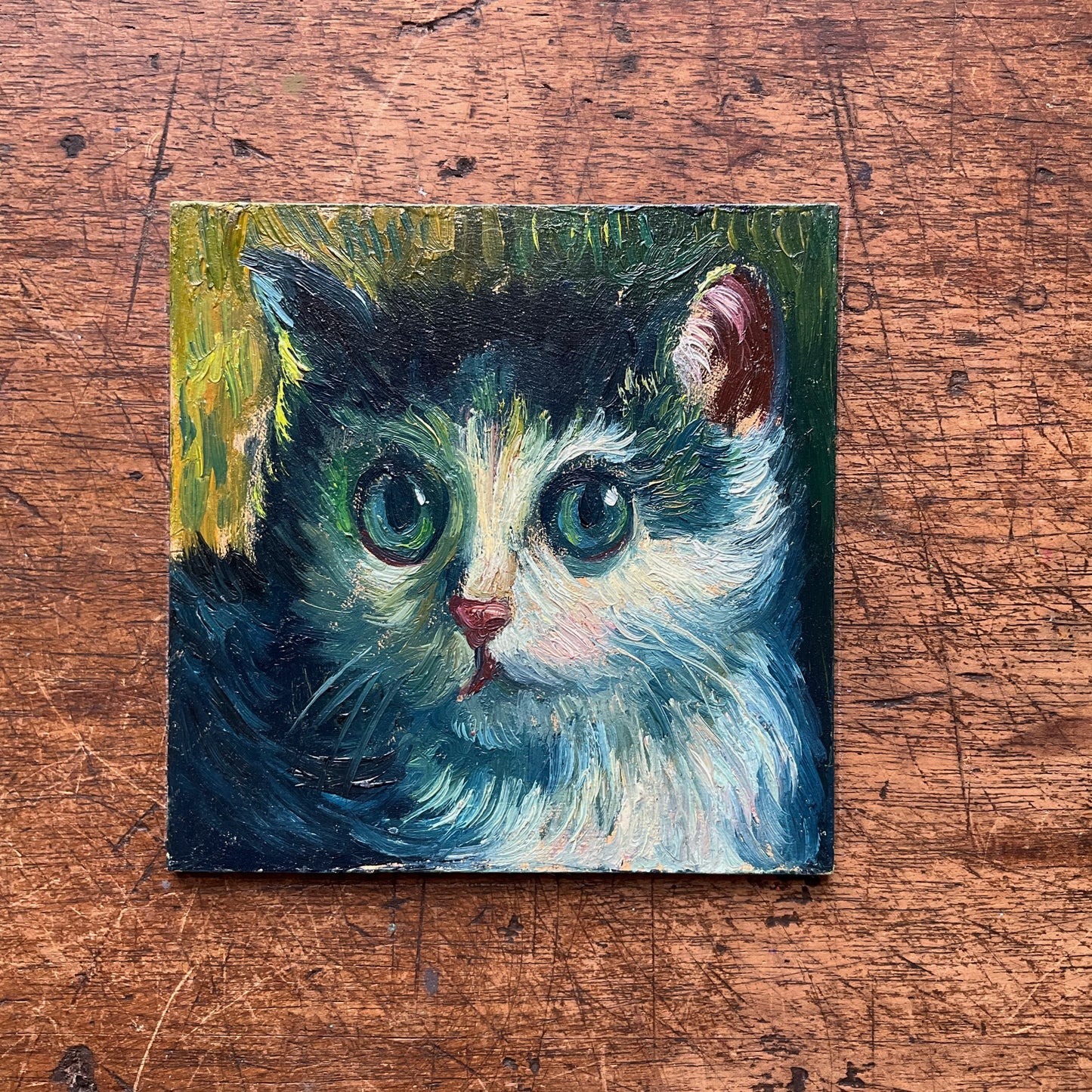 Mini Cat, Kitten