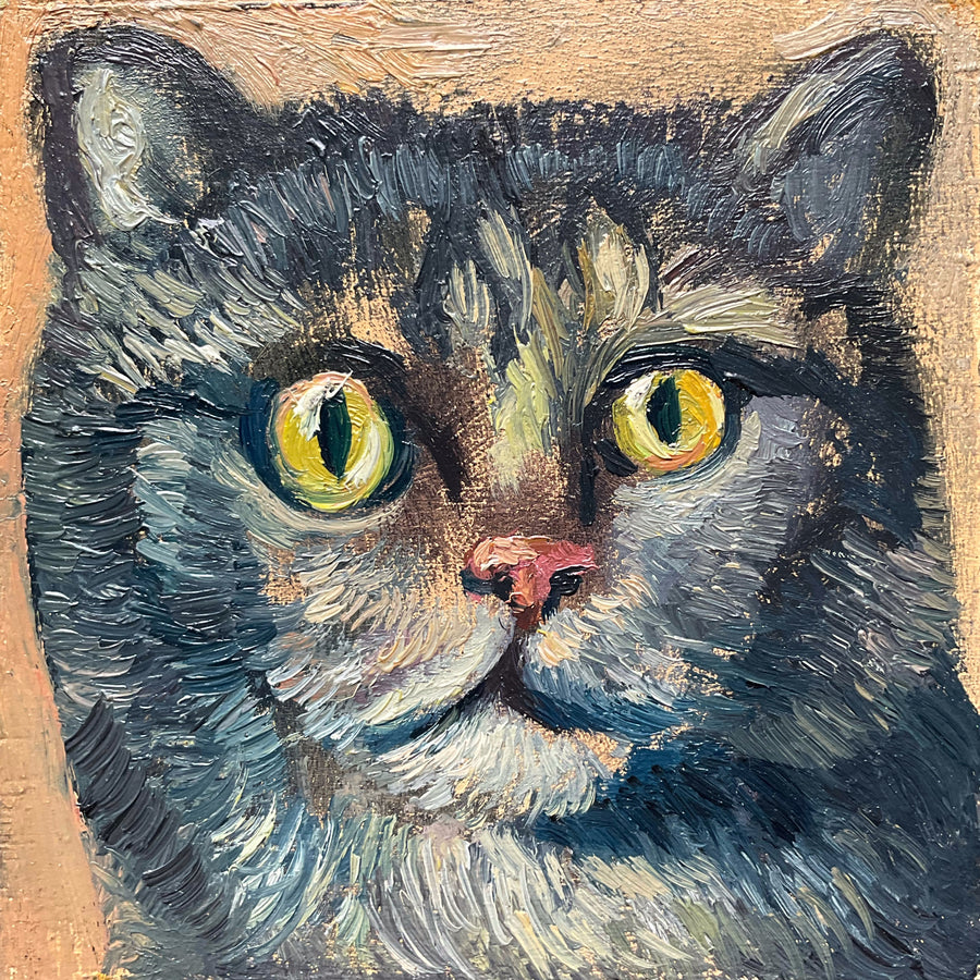 Mini Cat, Blue Tabby