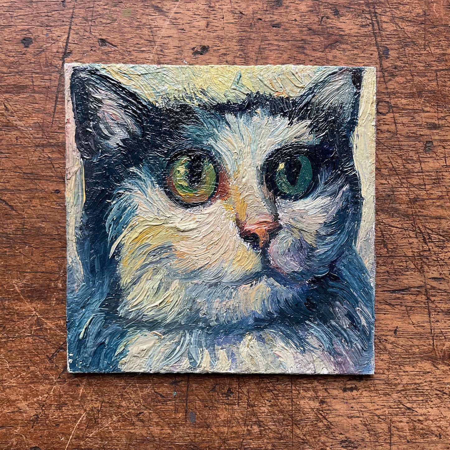Mini Cat with Big Eyes