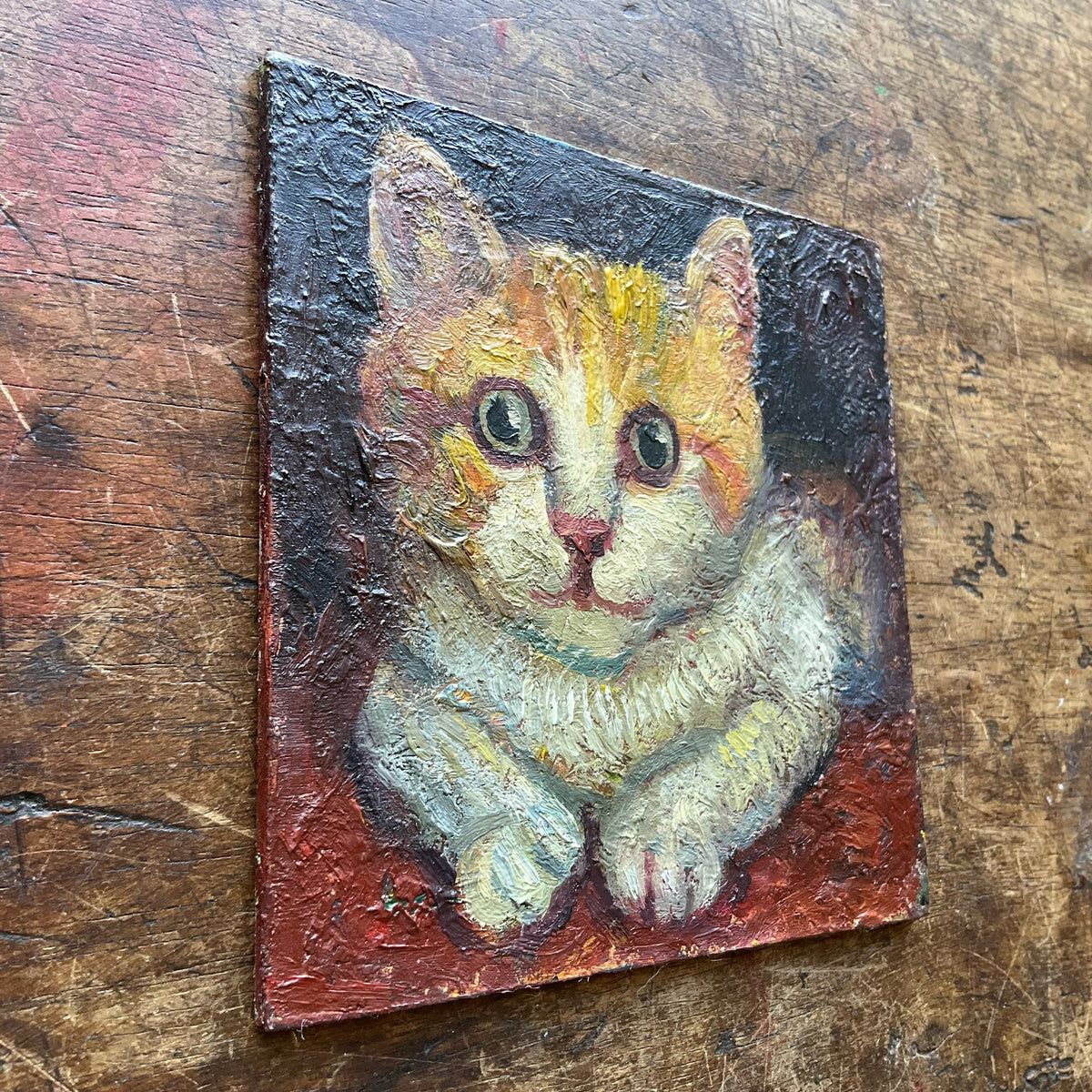 Kitten in Red Bed