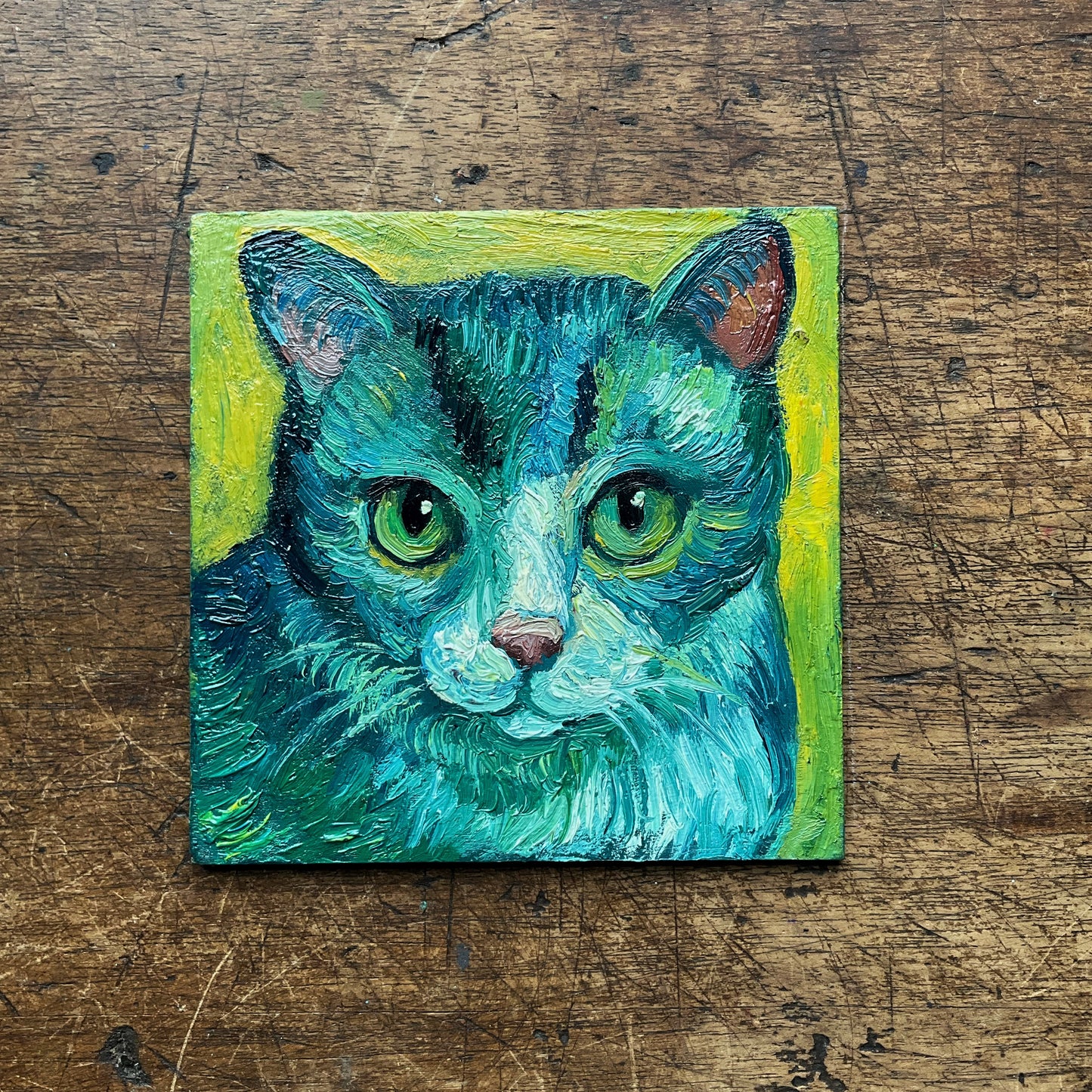 Mini Cat, Yellow and Blue