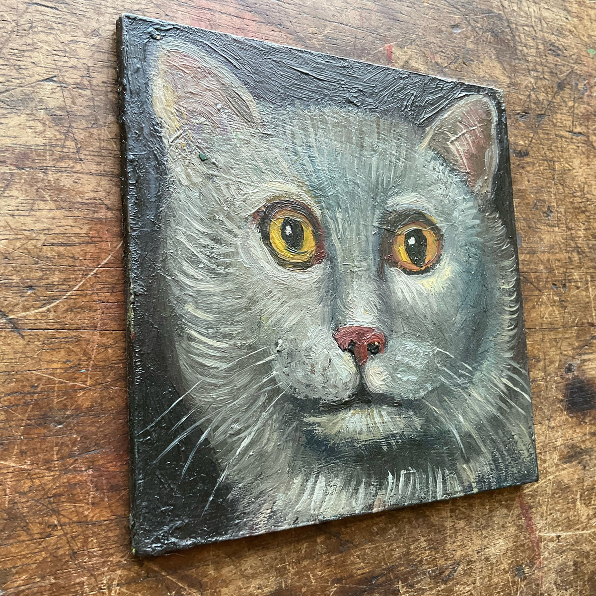 Silver Cat