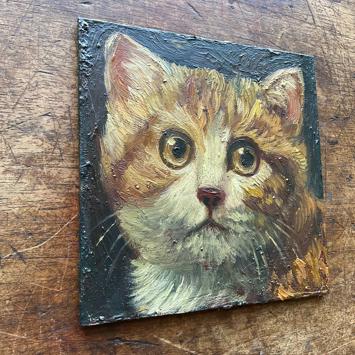 Orange and White Kitten