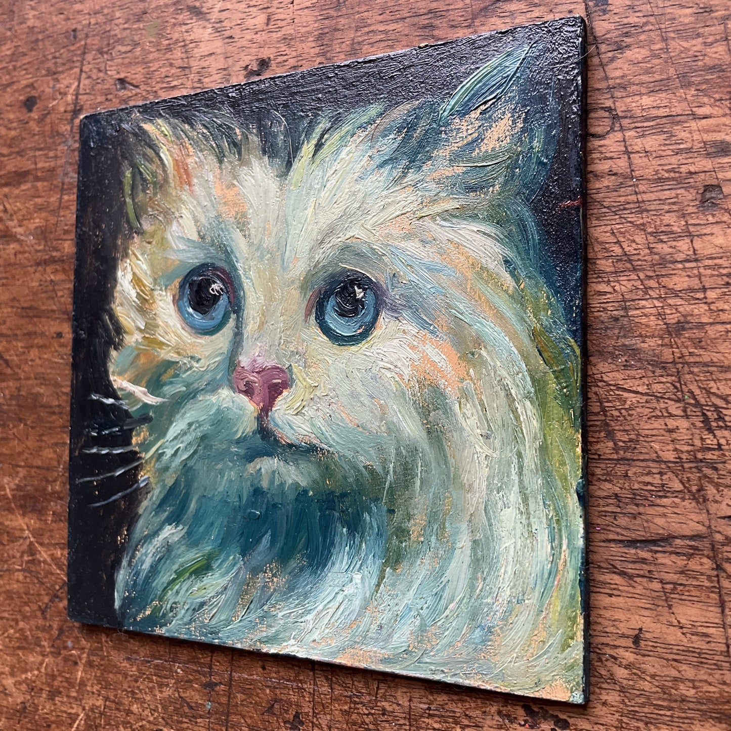 Mini Cat, Kitten White and Blue