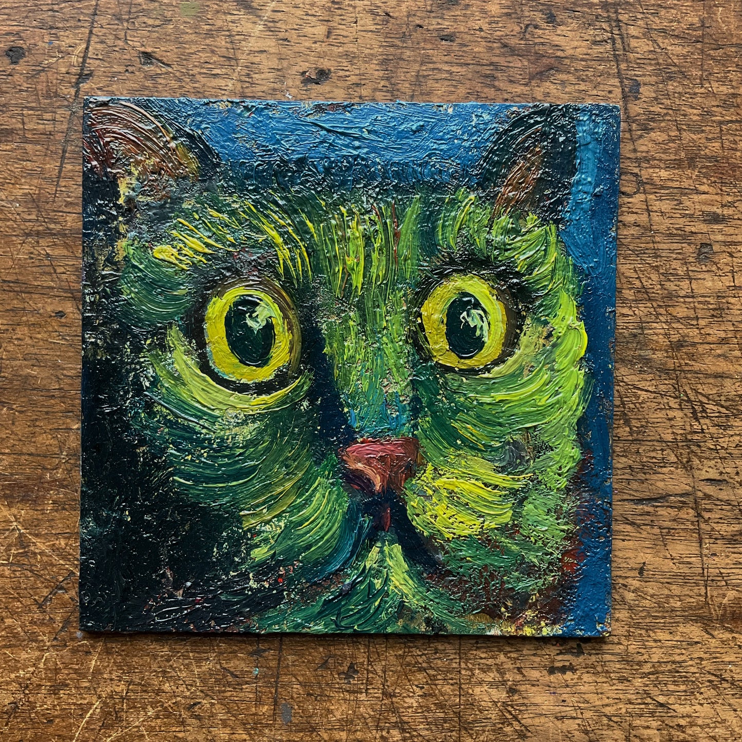 Mini Cat, Blue and Yellow