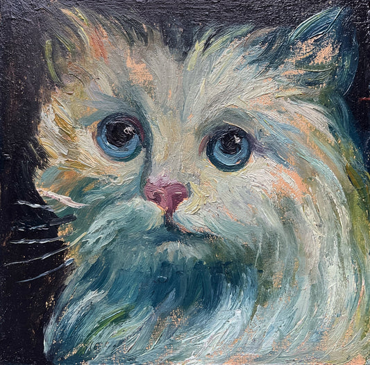 Mini Cat, Kitten White and Blue