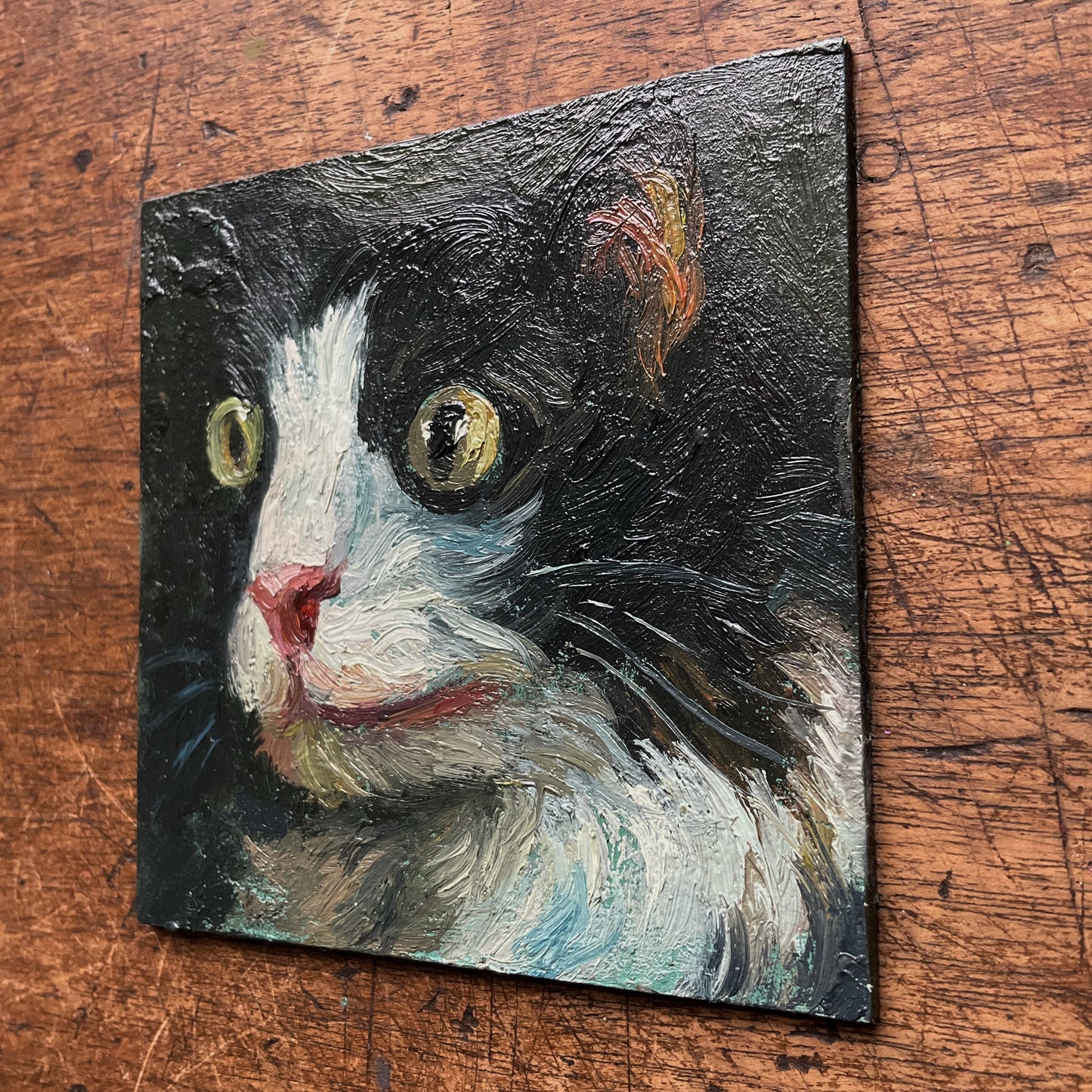 Mini Cat with Yellow Eyes