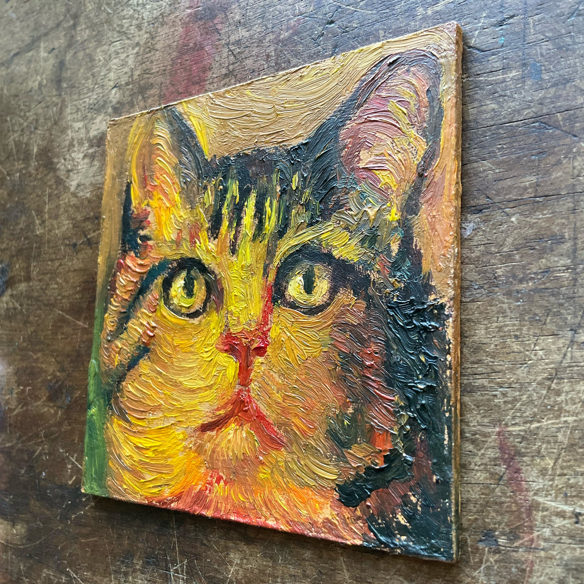 Tabby Ca, Yellow and Red