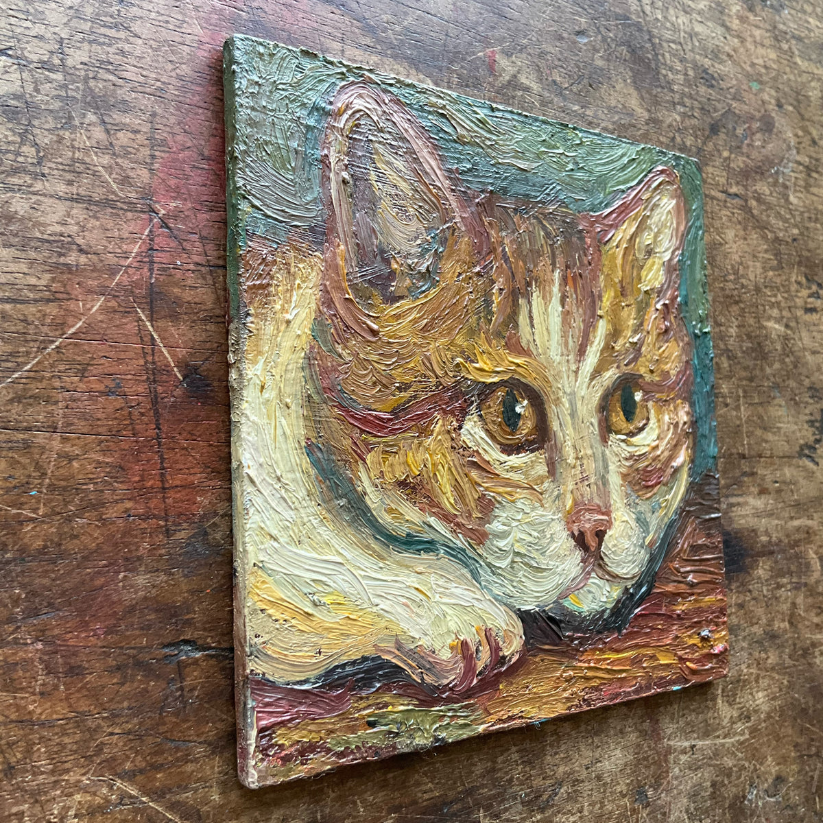 Kitten, Orange and White