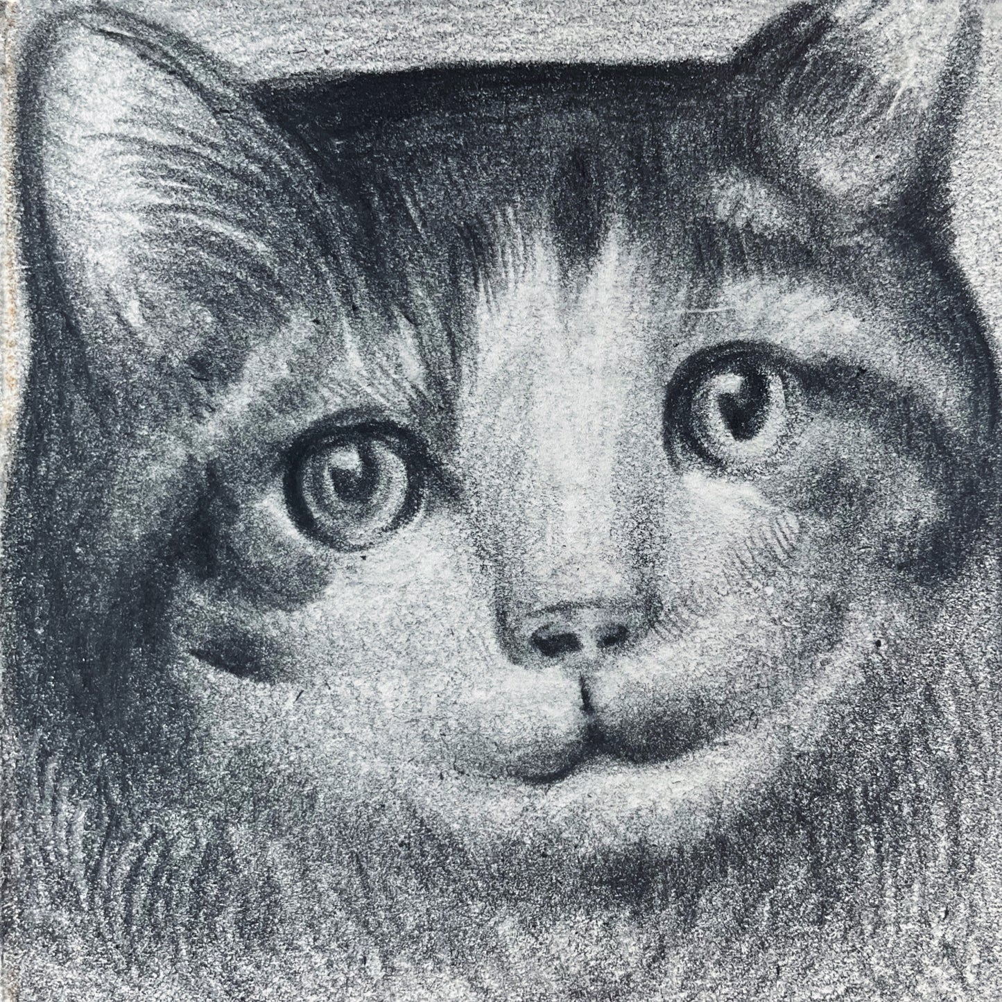 Mini Cat 009