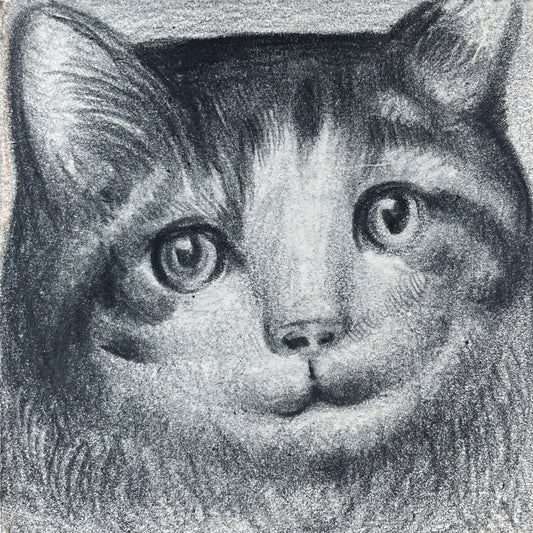 Mini Cat 009