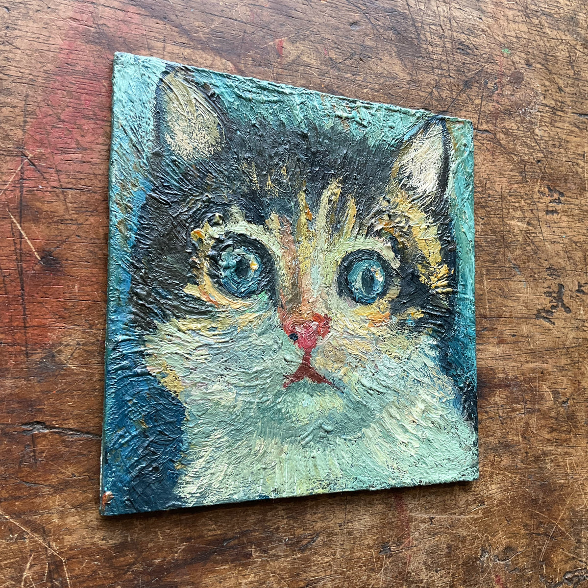 Tabby Kitten
