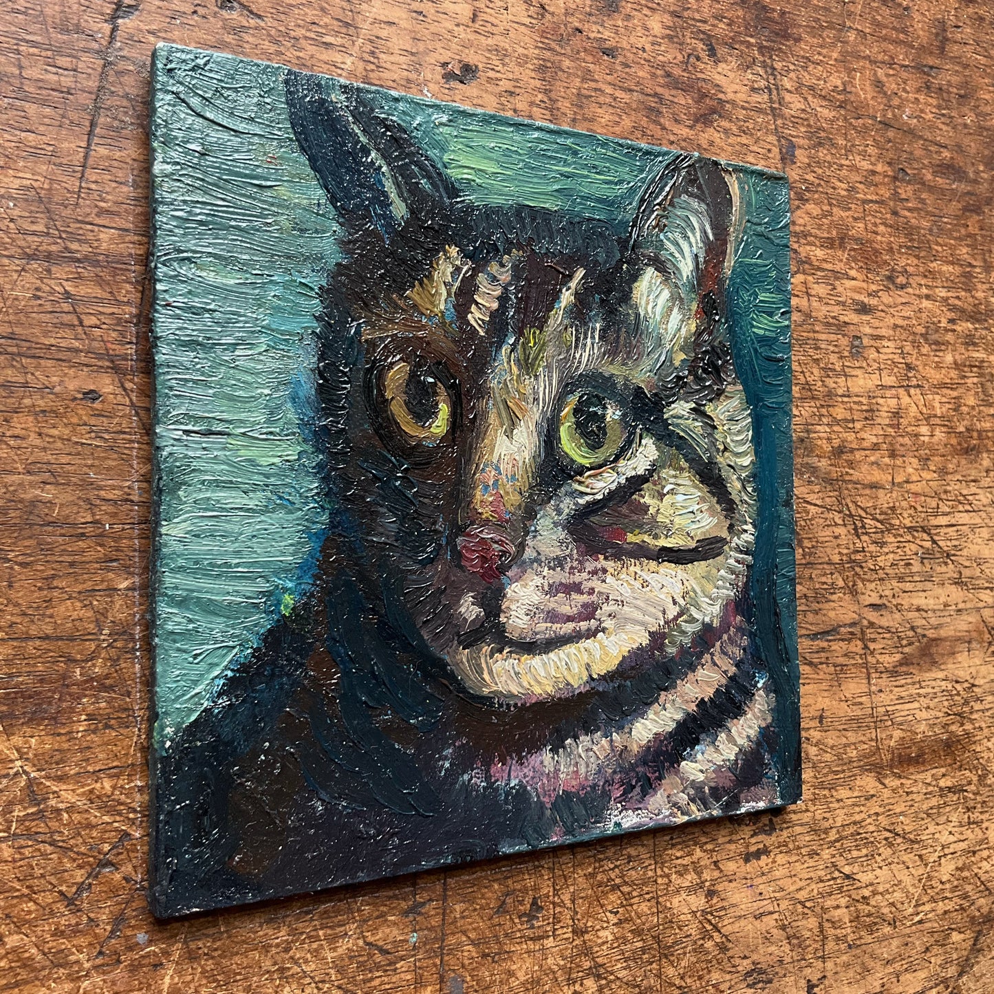 Mini Cat, Tabby