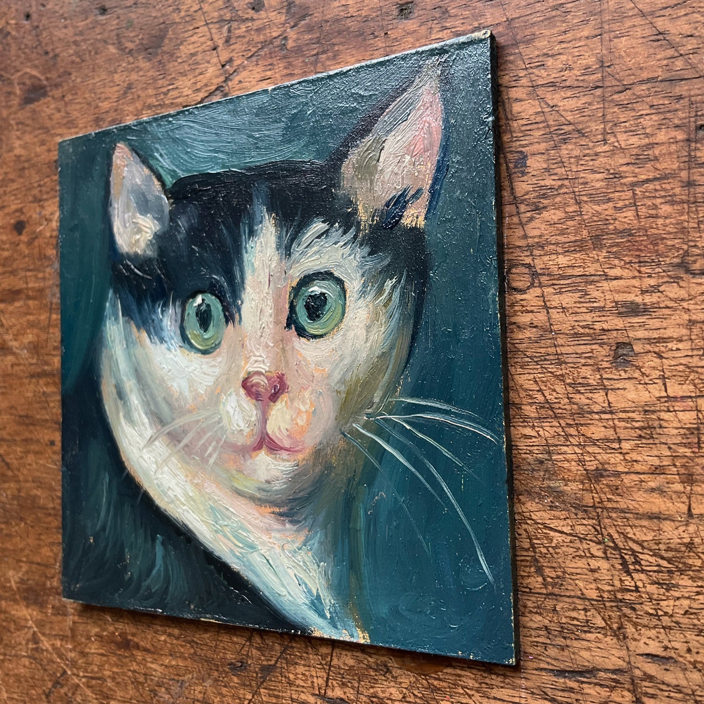 Mini Cat, Tuxedo Blue Eyes