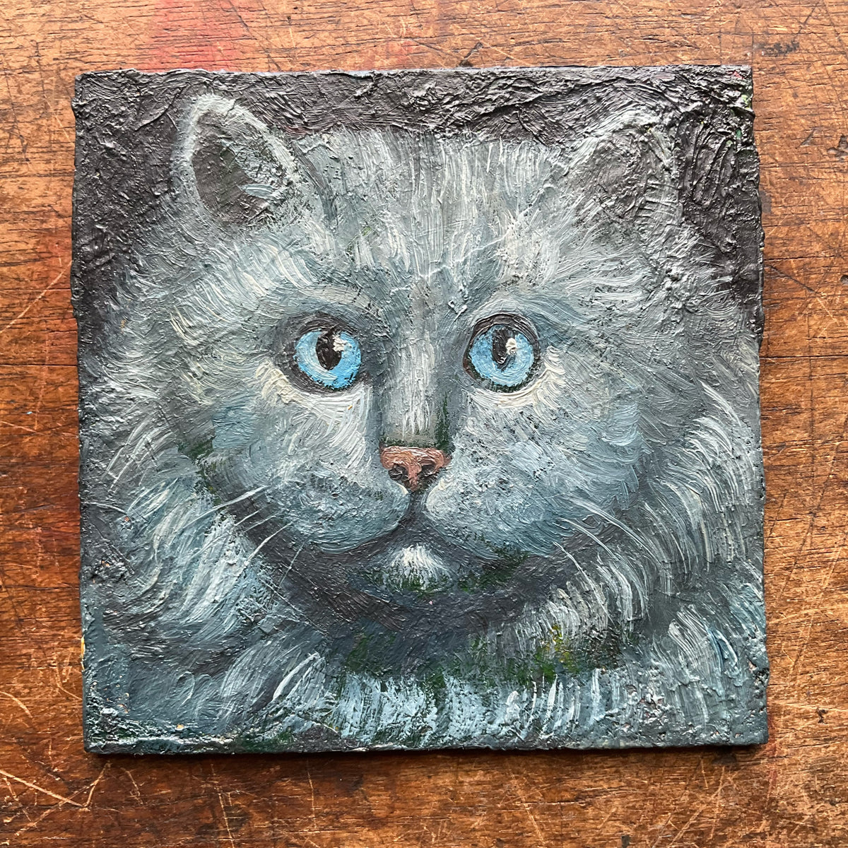 Grey Cat