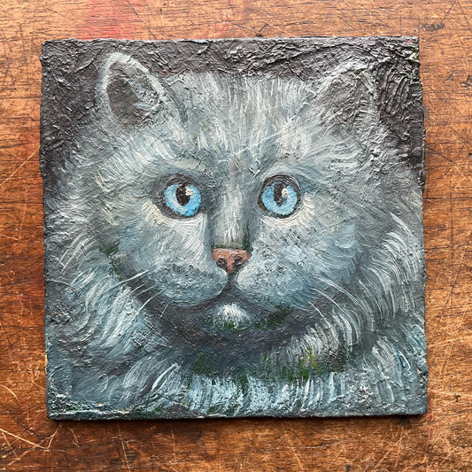 Grey Cat