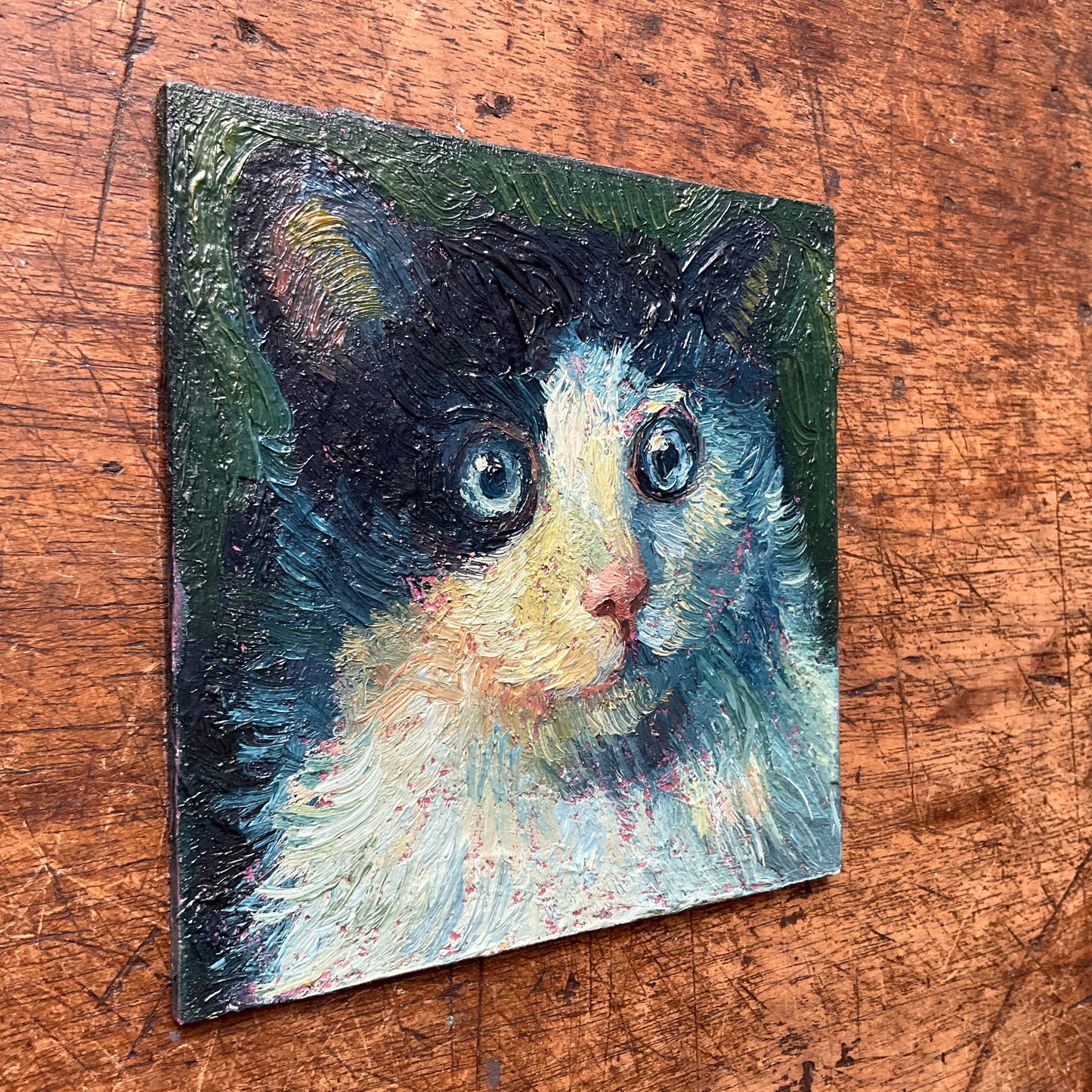Mini Cat, Blue White and Black