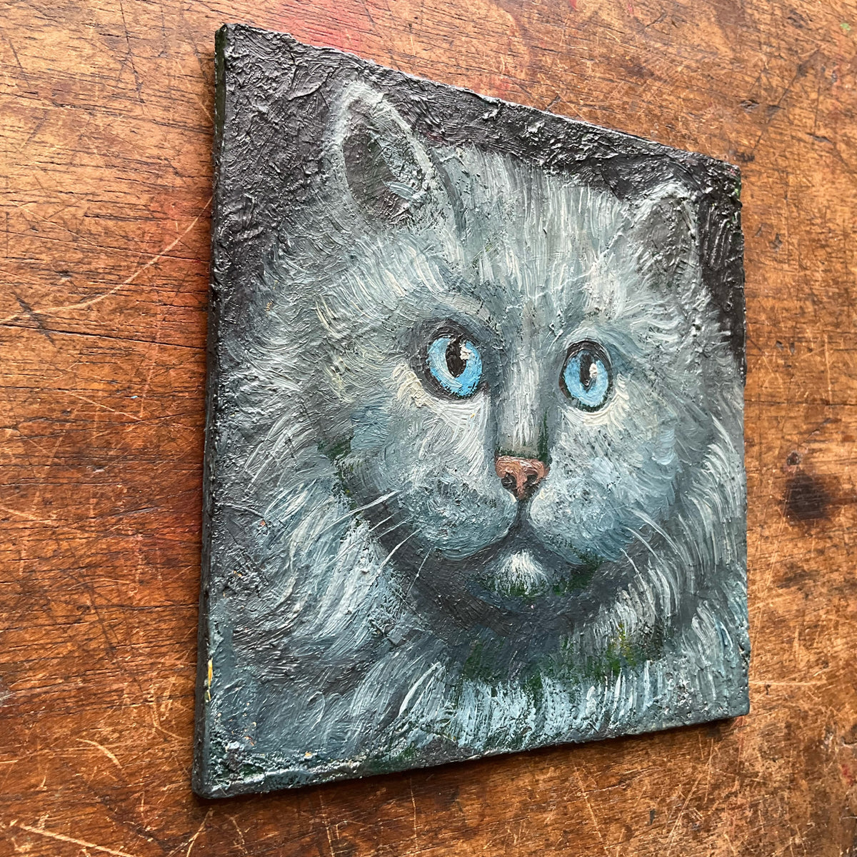 Grey Cat