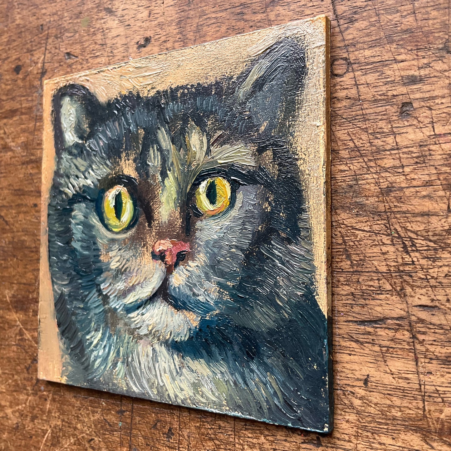 Mini Cat, Blue Tabby