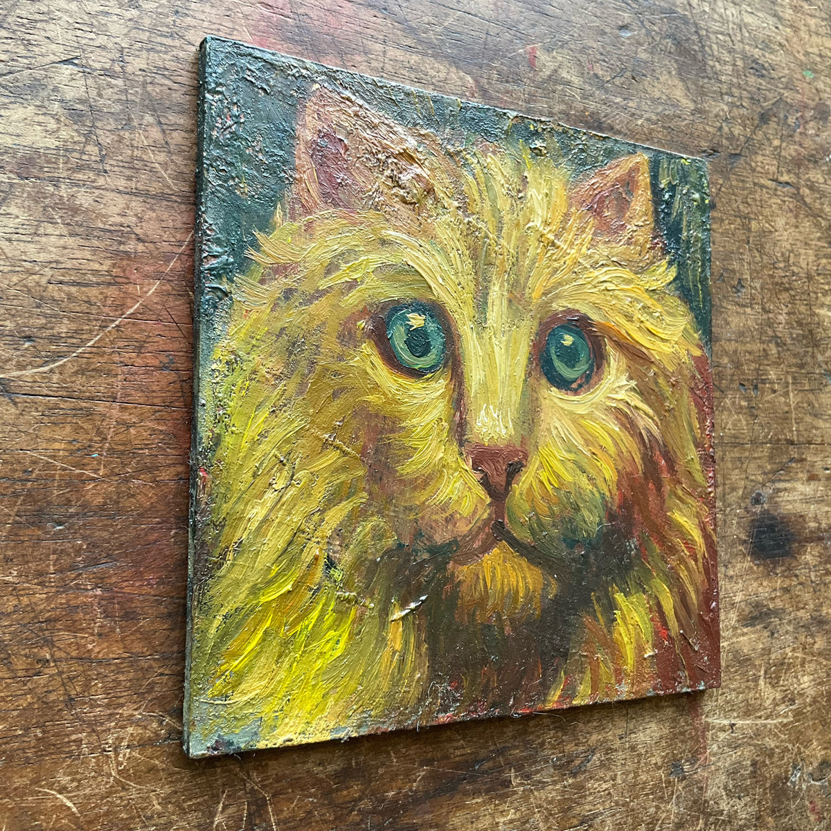 Yellow and Red Cat with Green Eyes