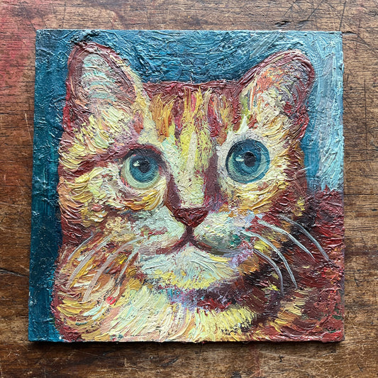 Orange, Yellow and White Kitten