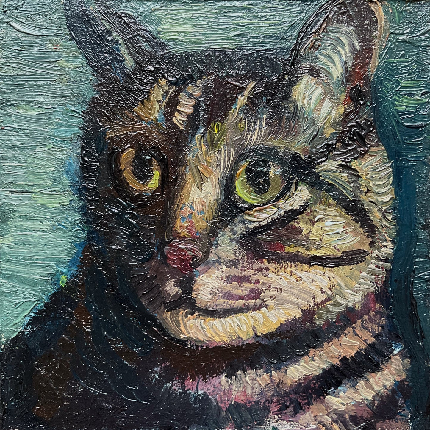 Mini Cat, Tabby