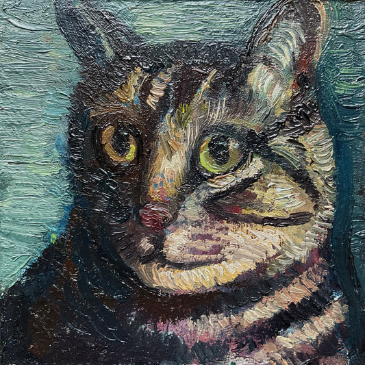 Mini Cat, Tabby