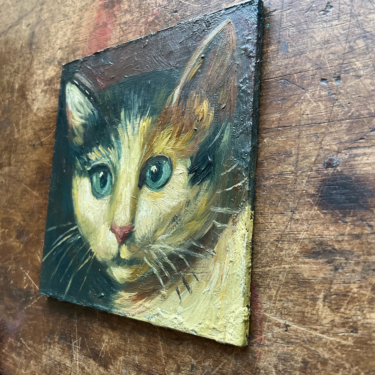 Calico Cat