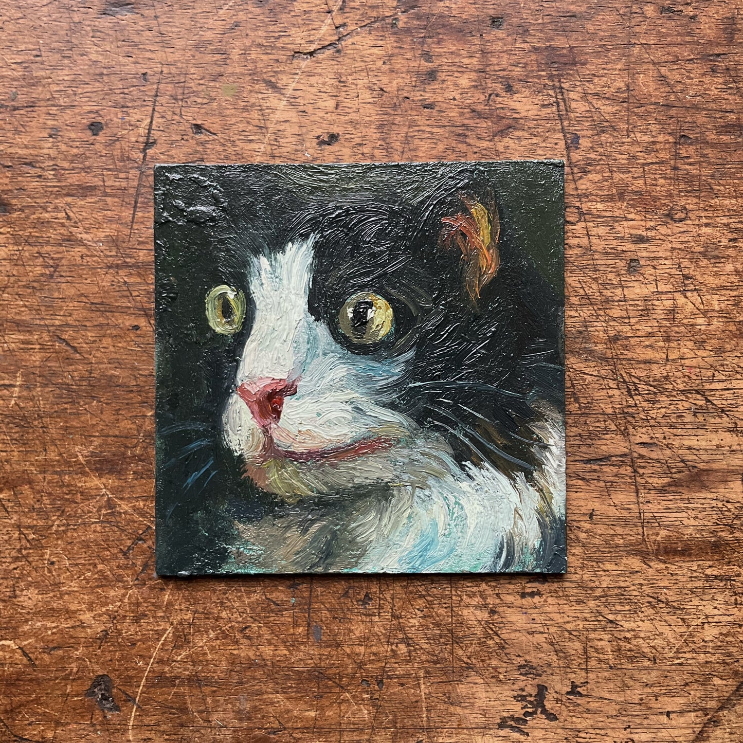 Mini Cat with Yellow Eyes