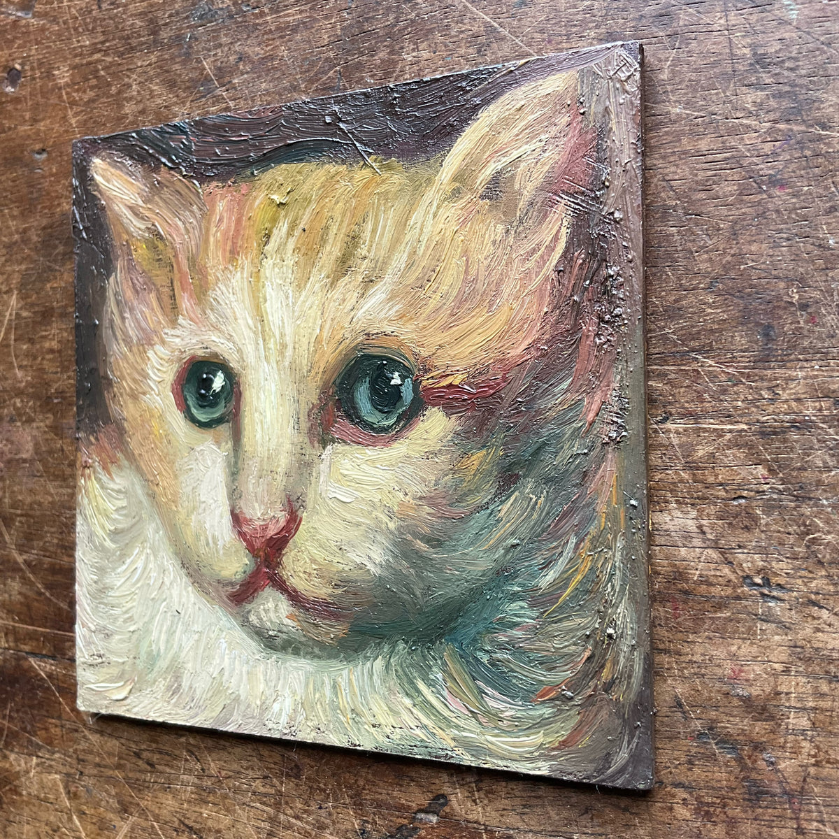 Yellow and White Cat