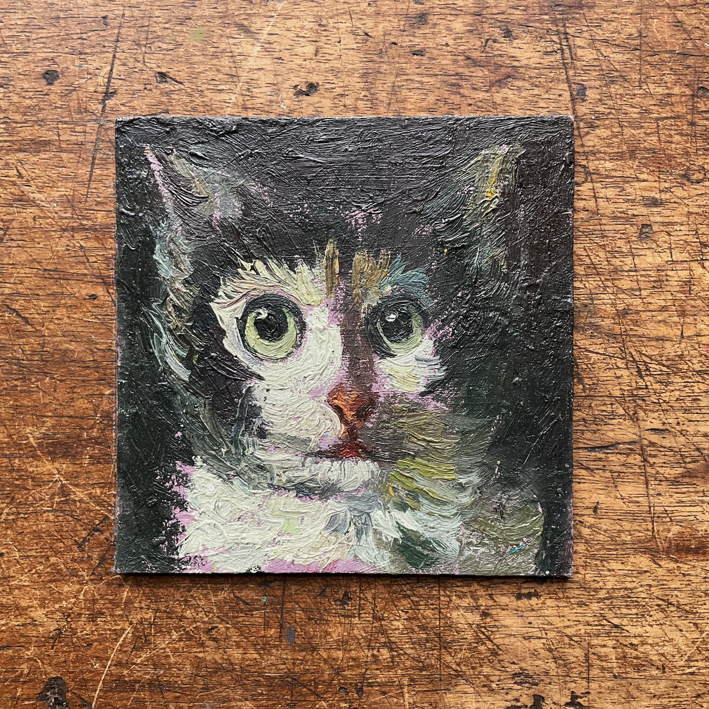 Mini Cat, Kitten Calico Red Nose