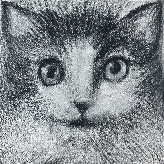 Mini Cat 005