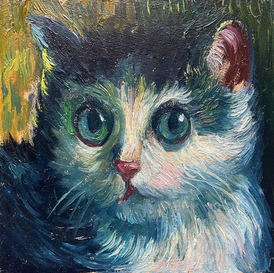 Mini Cat, Kitten