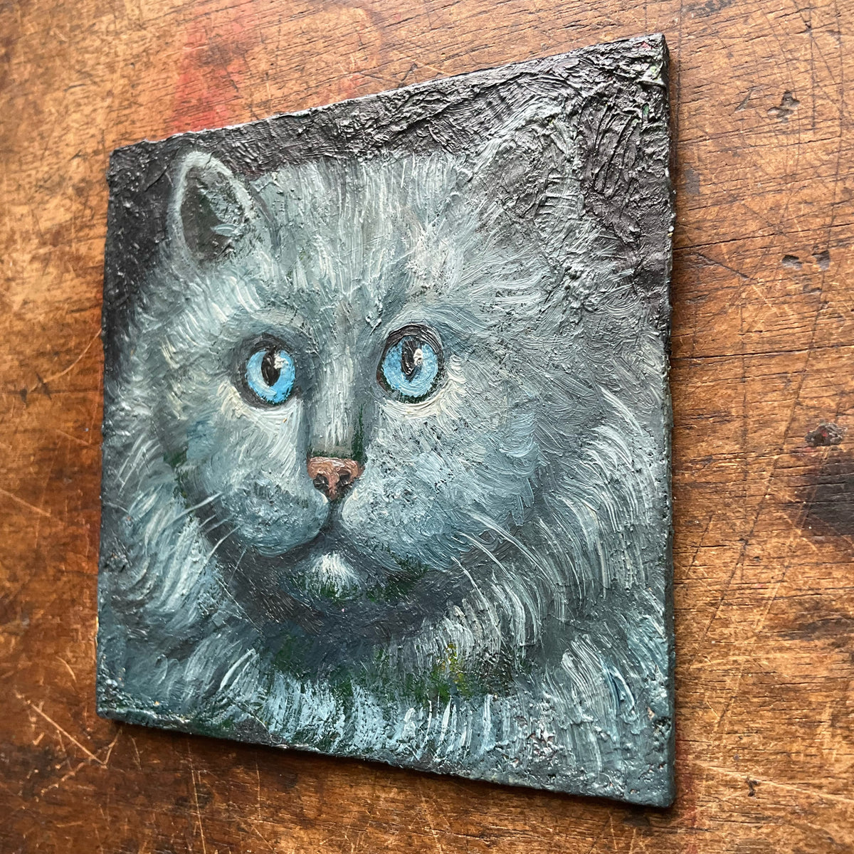 Grey Cat