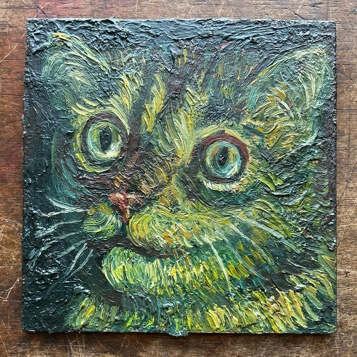 Cat, Black and Green