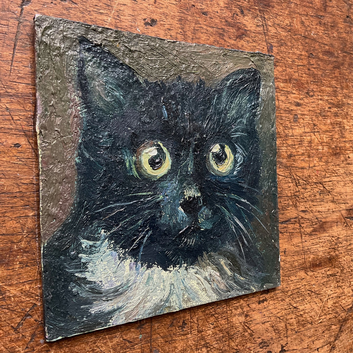 Mini Cat, Tuxedo Cat