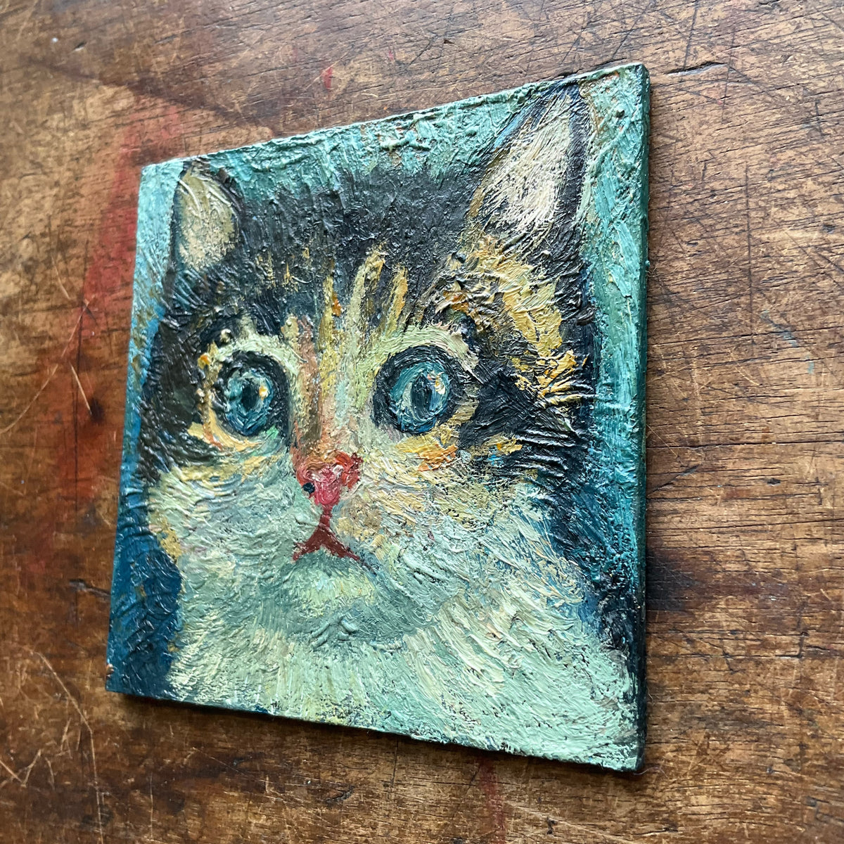 Tabby Kitten