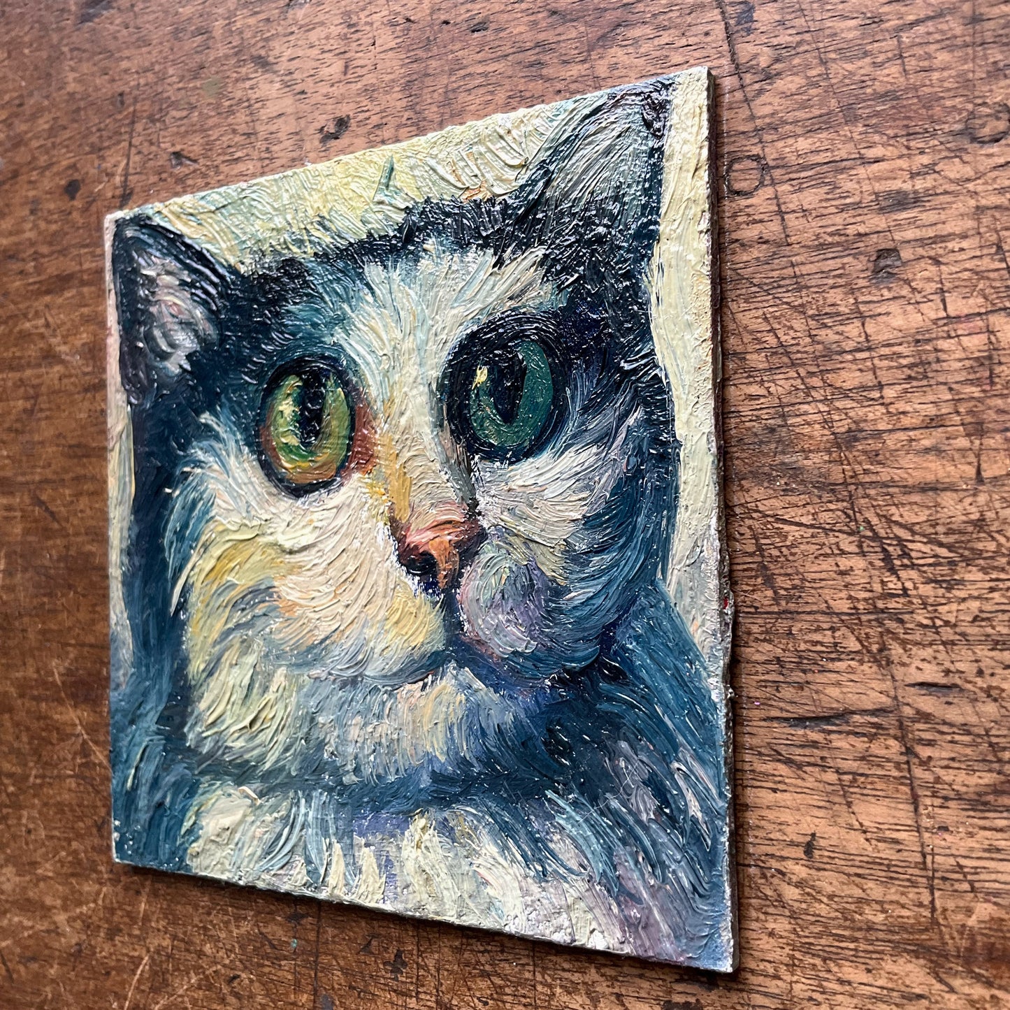 Mini Cat with Big Eyes