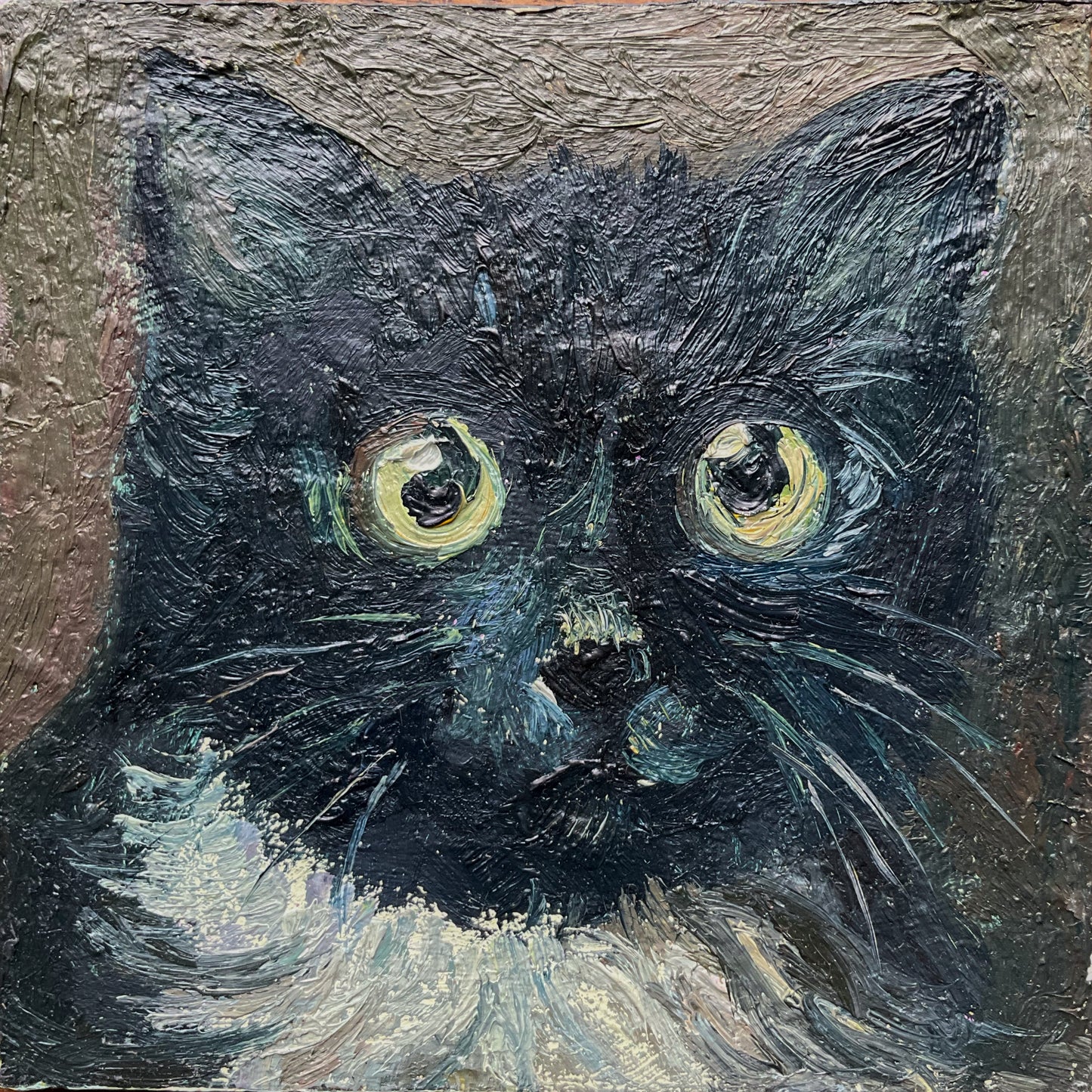 Mini Cat, Tuxedo Cat